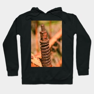 Rusty Spring Hoodie